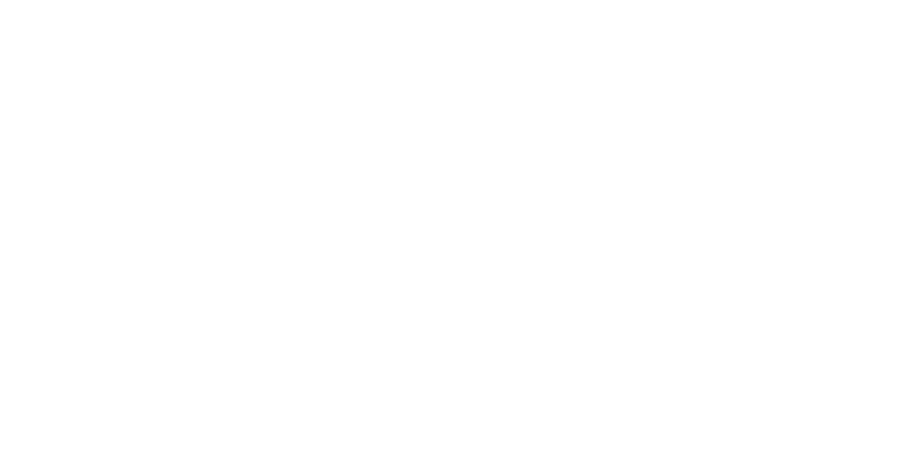 Wir sind Hornetsecurity Partner